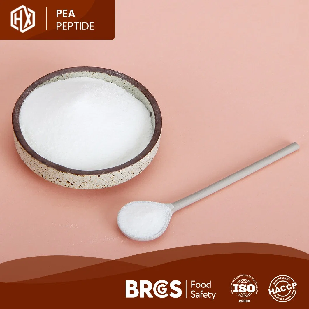 Haoxiang OEM Custom Food Grade Bio Erbsen Extrakt Peabean Peptid Protein Factory China Pea Peptide Collagen Pulver für die Haut-Whitening verwendet Und Anti-Falten