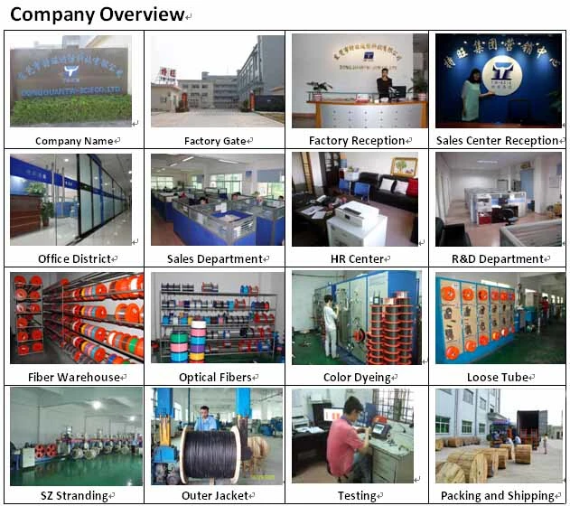 48 Core Fiber Single Mode for Armour Fiber Cable GYTA