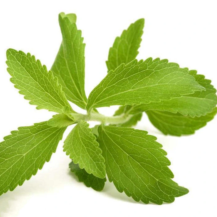 Mayorista/Proveedor Natural Steviol Glicosidos Stevia Rebaudioside SG 95%