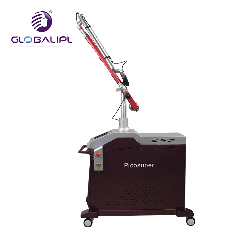 Professional Tattoo Removal Pigment Therapy Beauty Salon Instrument Alex Laser in China