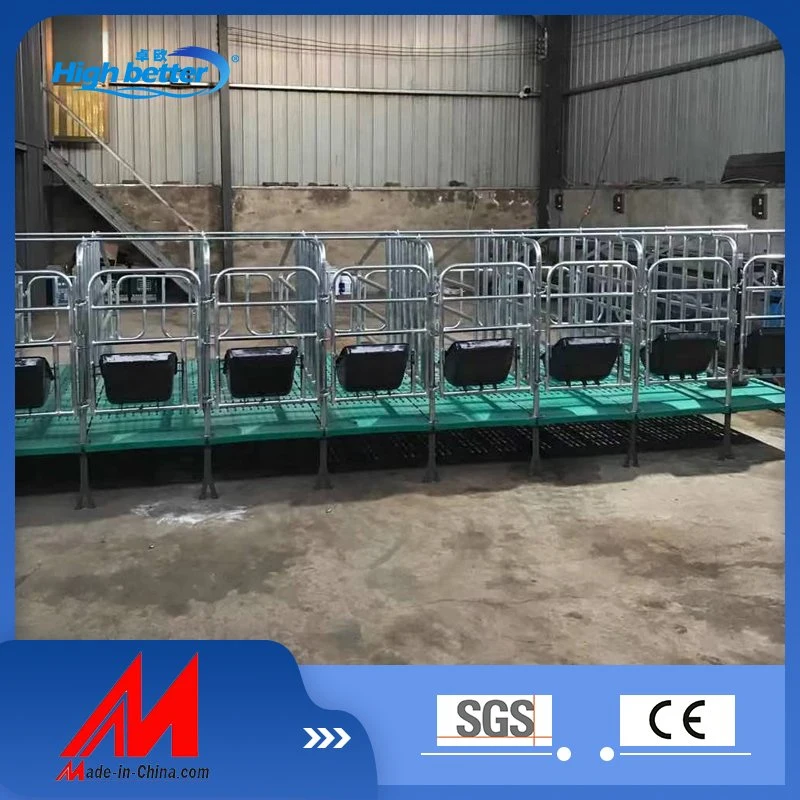 precio de fábrica galvanizado en caliente de jaulas de cerdo, jaulas, guías de posicionamiento para el parto los cerdos y cerdas hechas en China