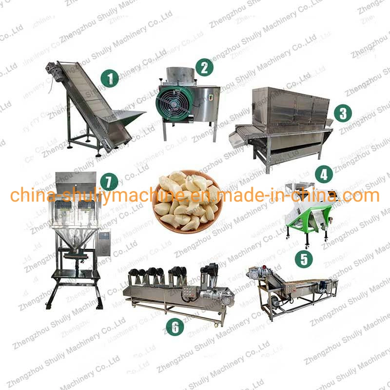 Garlic Breaking Peeling Garlic Drying Washing Machine Processing Line