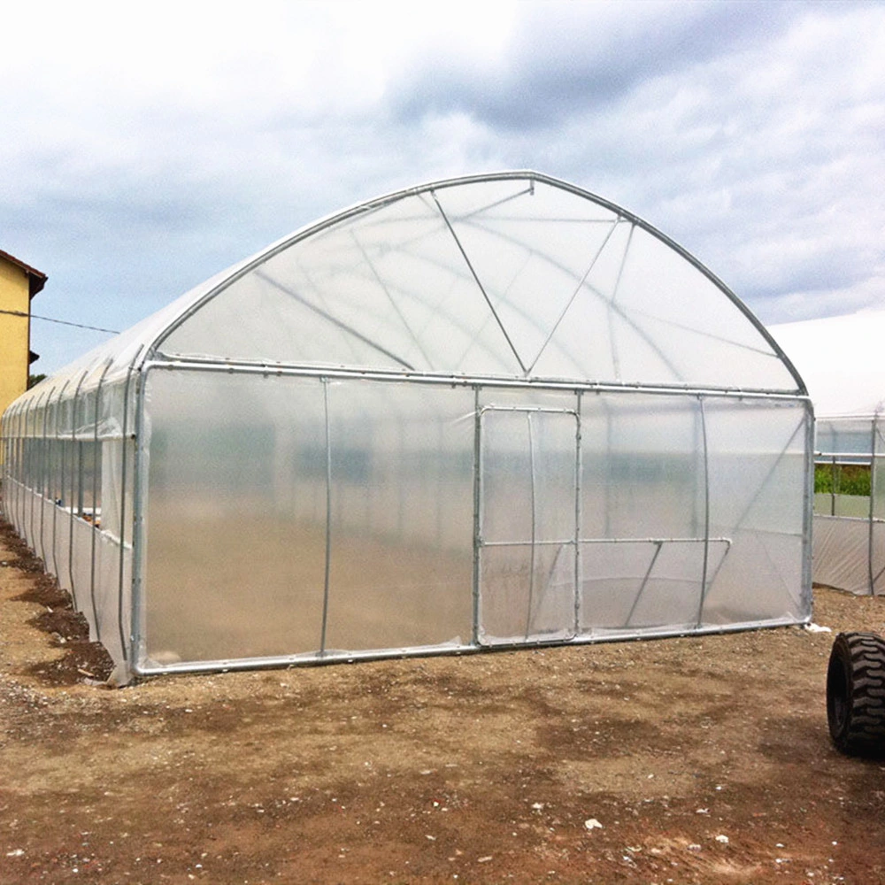 Low Price Customized Hot-Rolled Xinhe Garden Shed Multi Span Steel Structure Tunnel Greenhouse