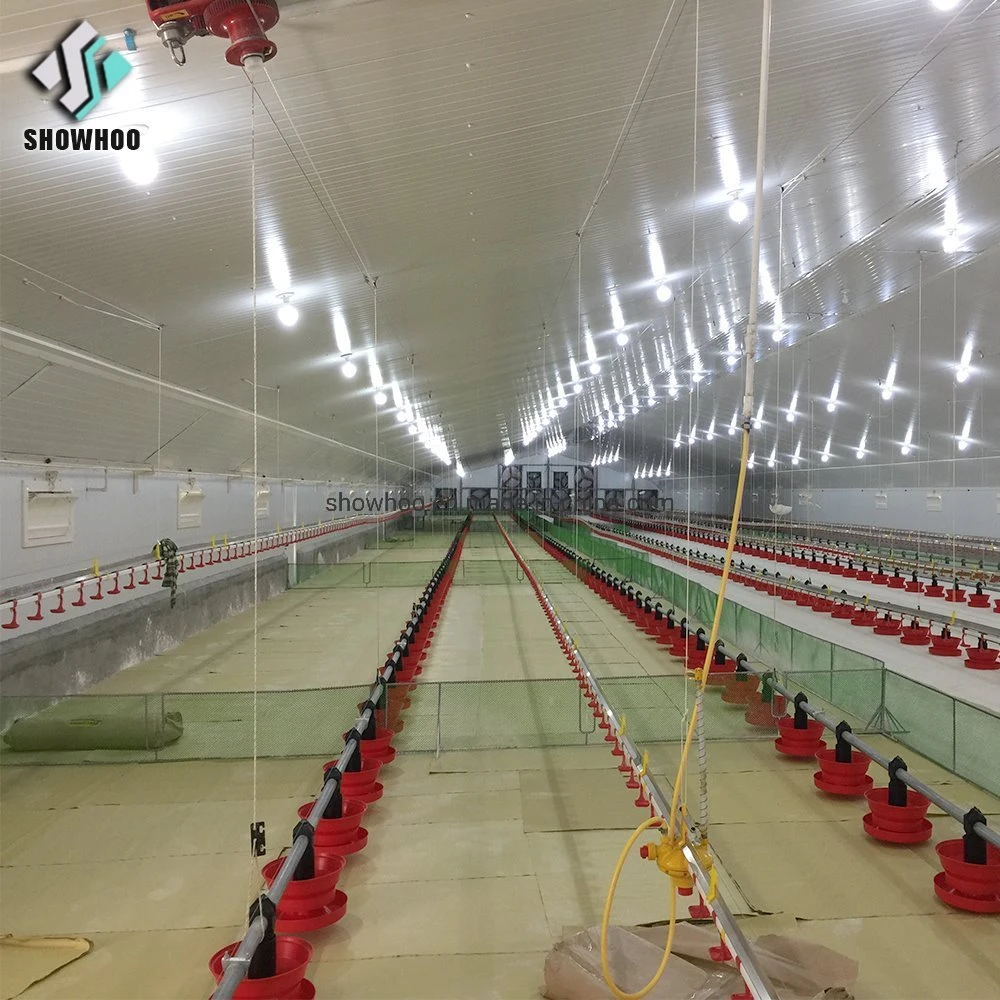 Automatische Fütterungssystem Vorgefertigten Stahl Frame Struktur Industrial Chicken House Geflügelfarm Schuppen