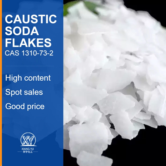 High-Purity Caustic Soda Flakes for Water Purification/CAS1310-73-2