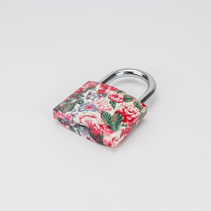 Attractive and Durable Pink Flower Iron Padlock Safety Mini Padlock