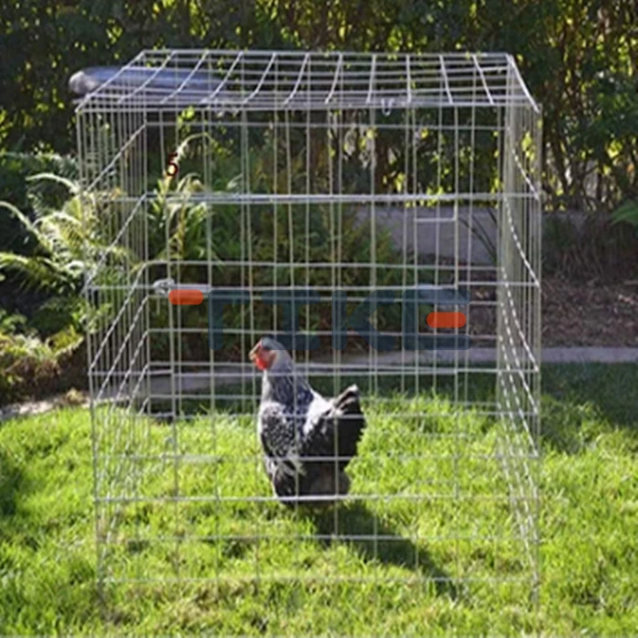 Gamefowl Square Pen Wire Chicken Cage para la venta