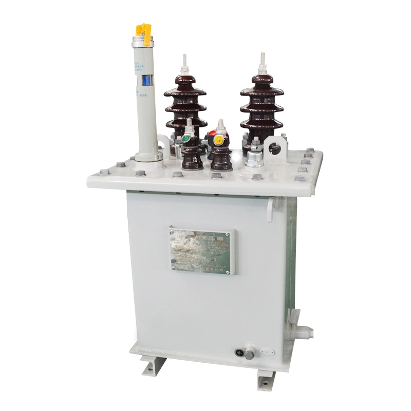 Custom D11 Single Phase Compact Oil Immersed Power Distribution Transformer 5/10/15/20/25/30/50/63/80/100/125/160/200 kVA Price