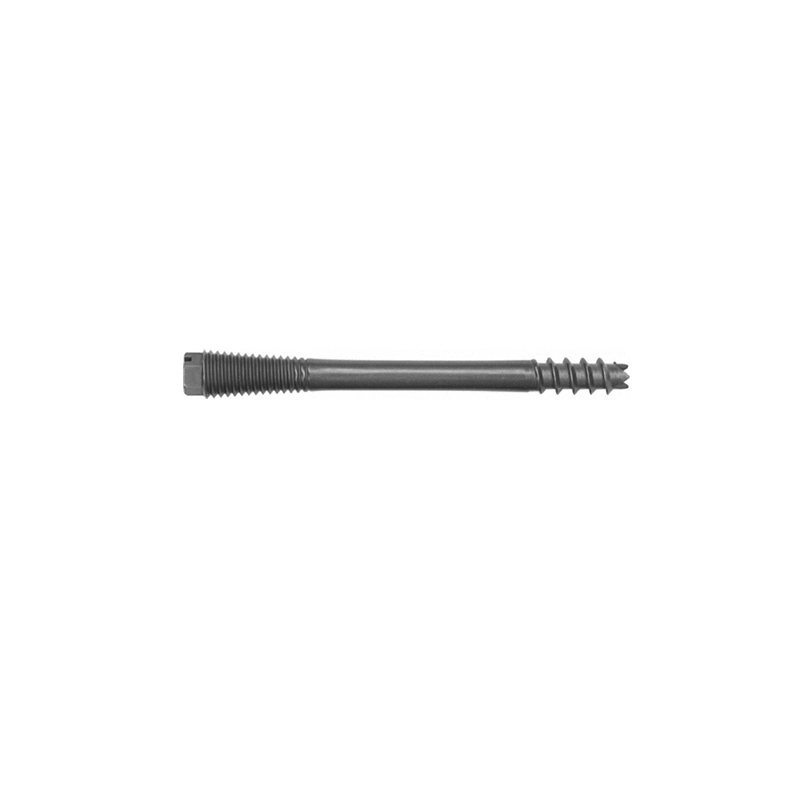 Surgical Orthopedic Implant Cannulated Screw with CE