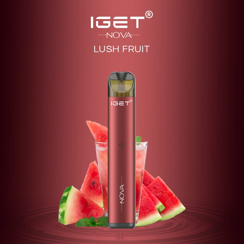 Vape Disposable Iget Nova Pod Kit Fruit Nicotine Electronic Cigarette in The Smoke Bomb 500 Puffs