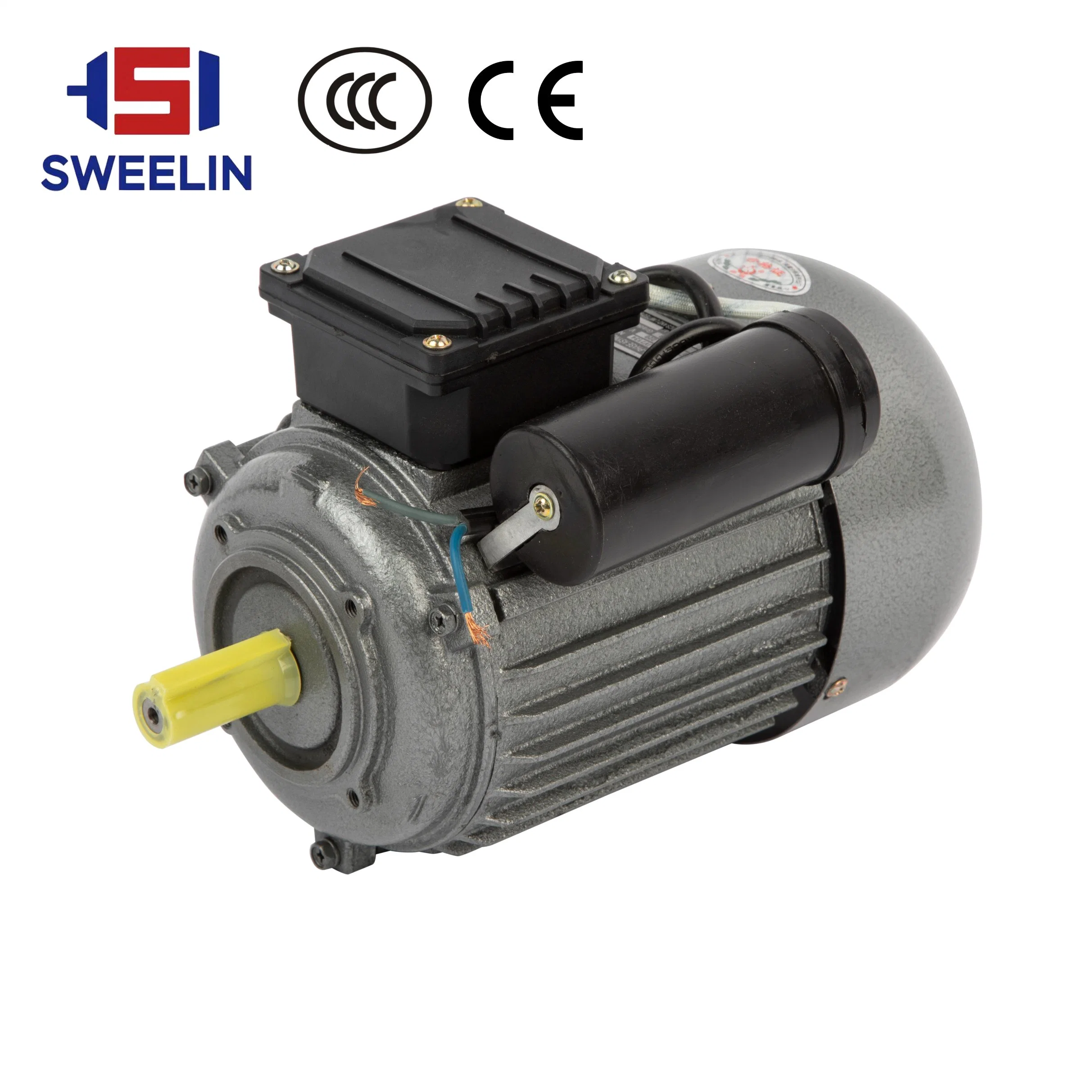 Single-Phase Electric Motor CE Certification 220V Fan Vacuum Pump