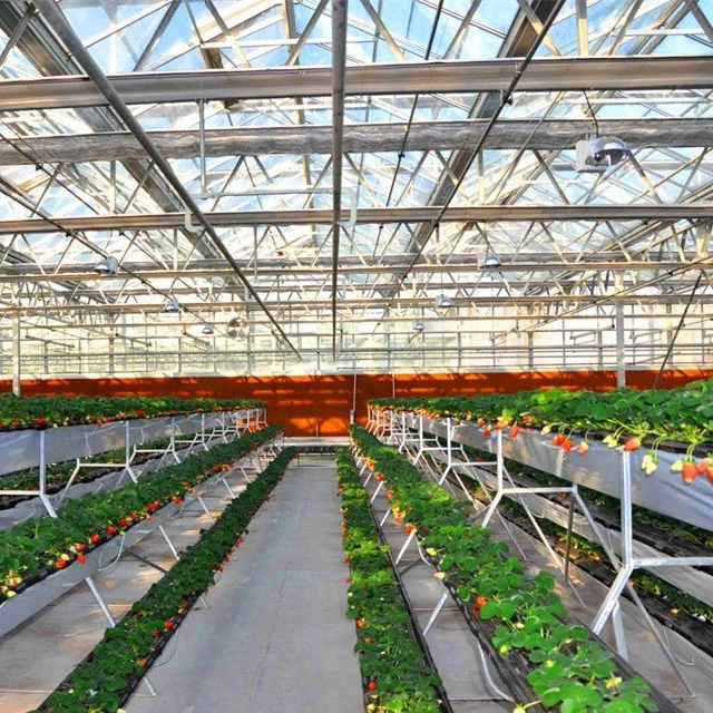 2023 Casa Verde Venlo PC de Alto desempenho para vegetais/frutas Hydroponics