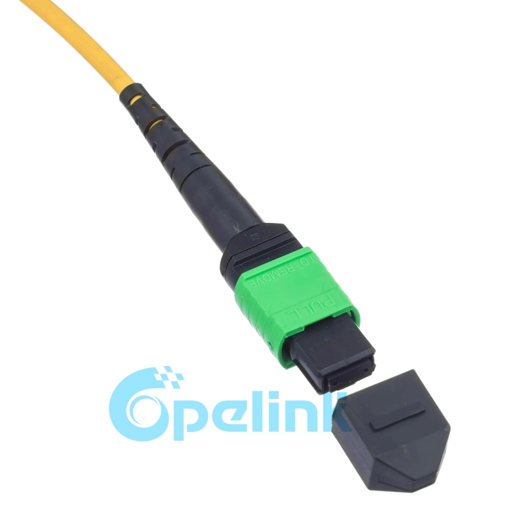 LC-MTP/MPO Optical Fiber Patch Cord Fanout 2.0mm 1m