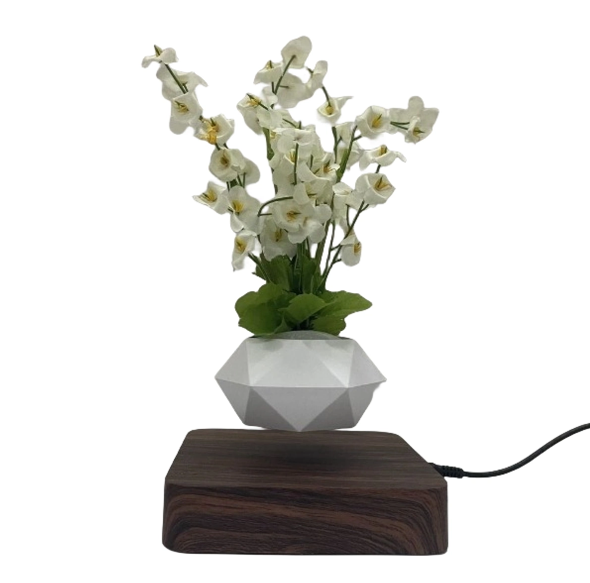 Hot Sales New Wooden Magnetic Levitation Floating Air Bonsai Plant Flower for Decoration Gift Promotion