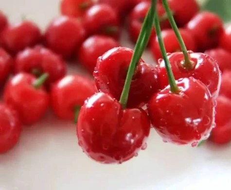 ISO Factory Best Quality 10%~70%Vitamin C Acerola Extract