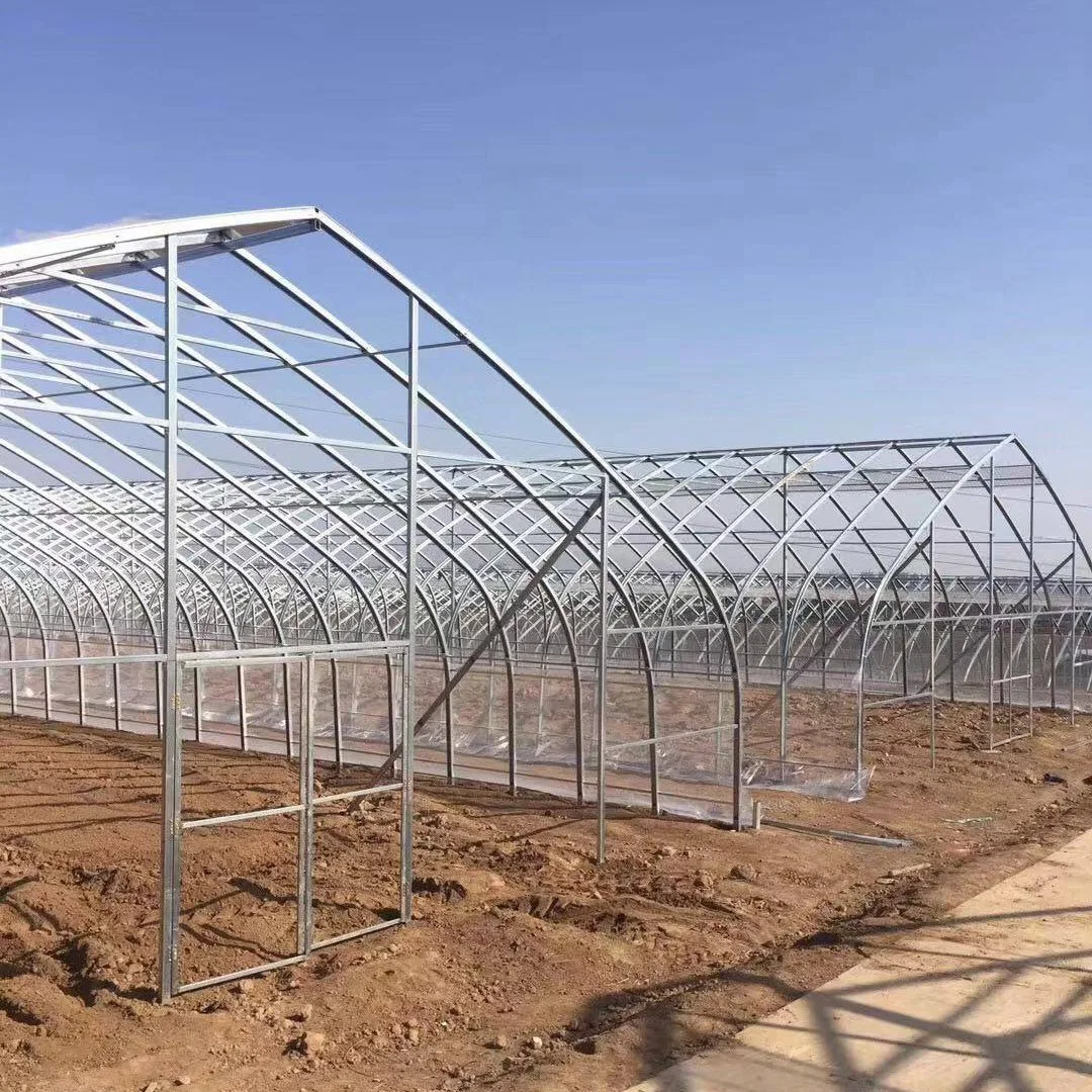 China Single-Span Poly Tunnel Greenhouses with Gi Steel Structure