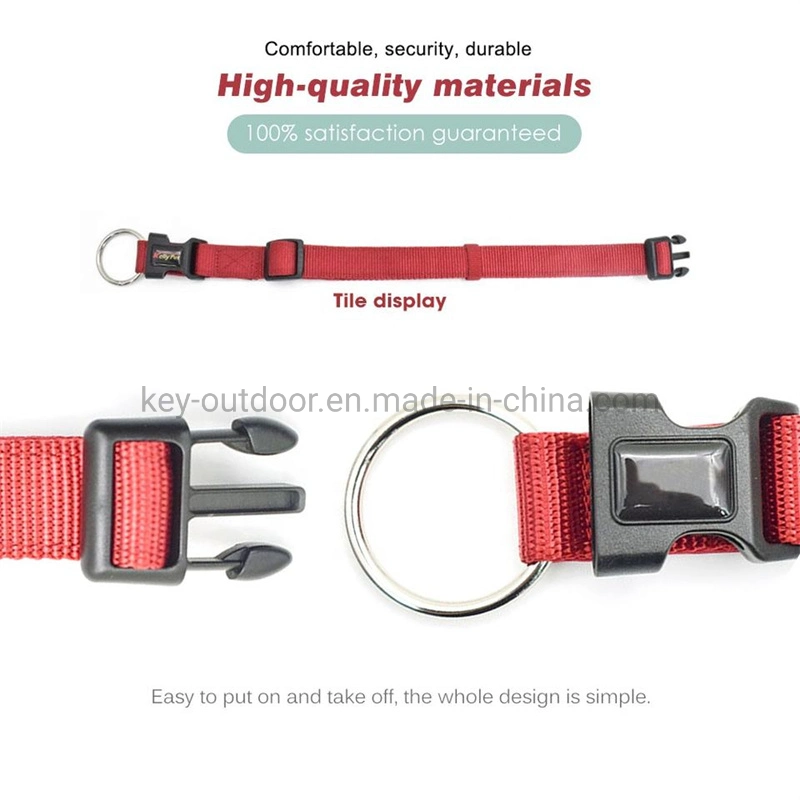 Wholesale/Supplier Personalized Multi Color Nylon Neoprene Padded O Ring Pet Dog Collars