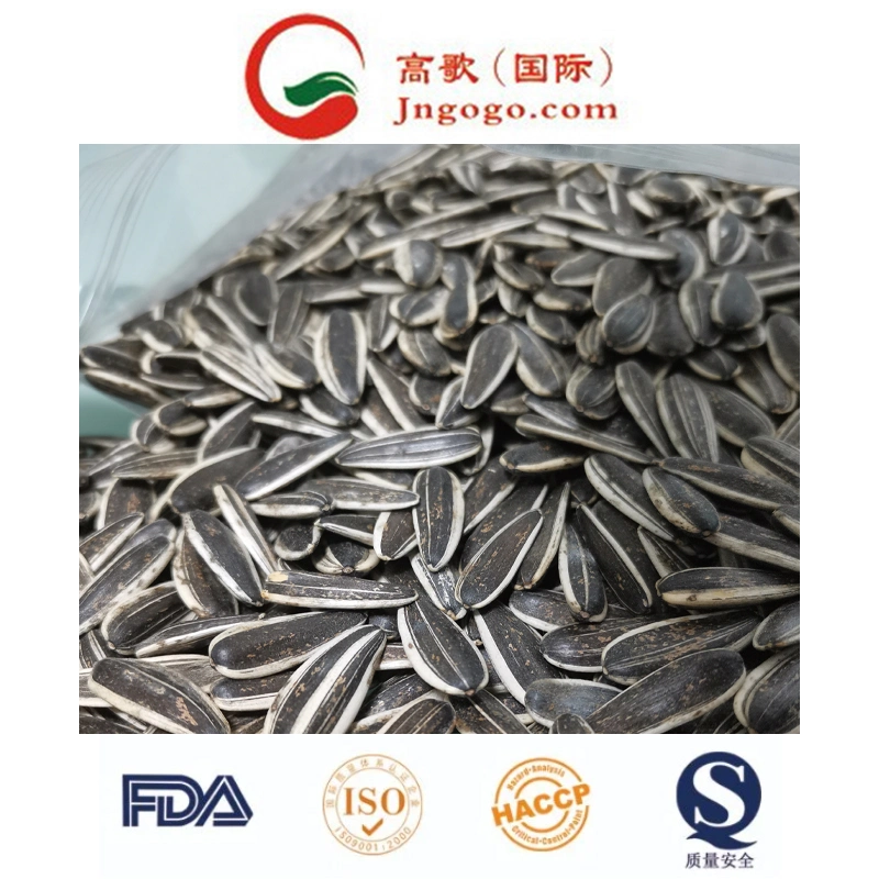 Top Sell Sunflower Seeds Sunflower Kernels 361/363/601