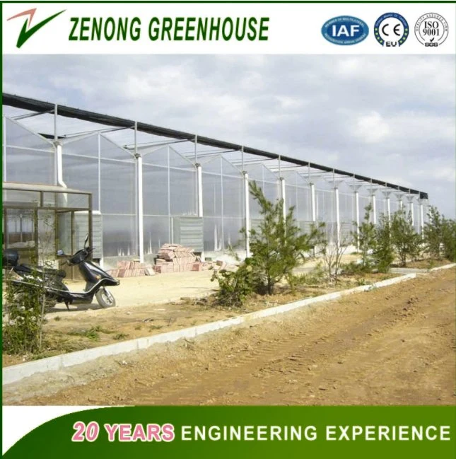 Agriculture/Farming/Aquaculture Green House PC Greenhouse for Planting/Breeding/Exhibition/Experiment