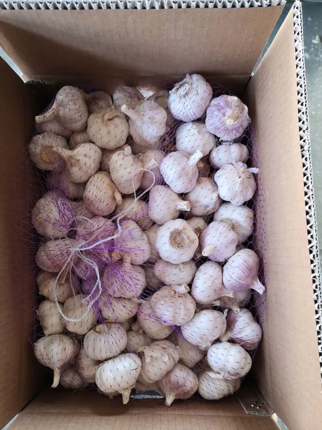 2019 New Season Top Quality Purple/White/Red Garlic