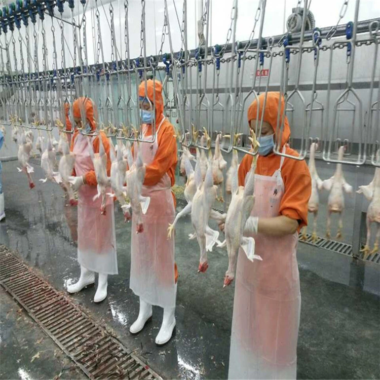 Chicken Slaughtering Equipment/High Efficiency/Halal Slaughter