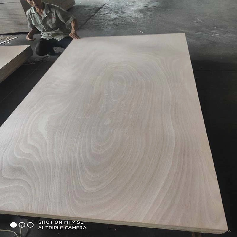 15mm de madera de álamo Combi comercial Okoume núcleo de madera contrachapada de Dubai