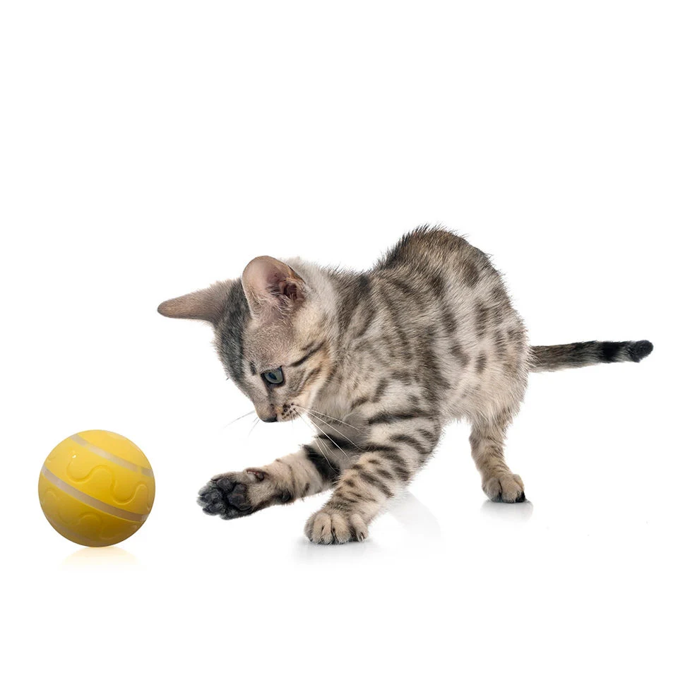 PET Produkte Elektronische Fernbedienung Leuchtende Haustier Katze Spielzeug USB Wiederaufladbare Automatische Rolling Ball Dog Spielzeug