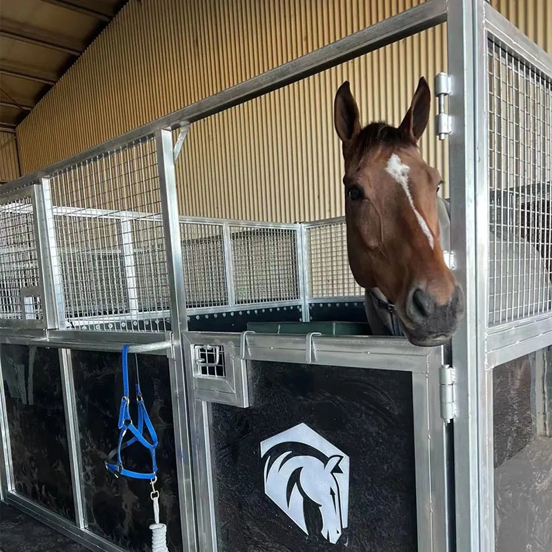 Panneaux de bétail poudré en métal vert clôture de cheval