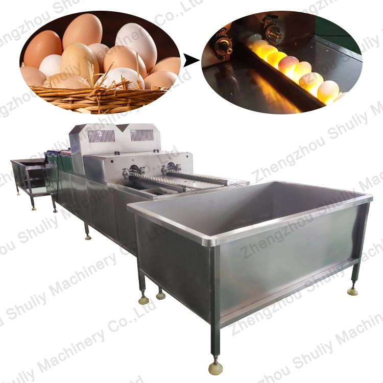 Industrial 10000PCS Automatic Egg Washing Cleaning Drying and Sorting Machine