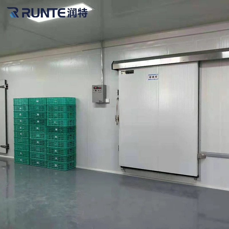 Runte Brand Insulated PU/PIR Panel Stainless Steel Cold Room Hinge/Swing/Sliding/Overhead Door for Refrigeration Warehouse