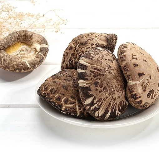 O Chá secas Flower cogumelo Shiitake, Cogumelo Seco