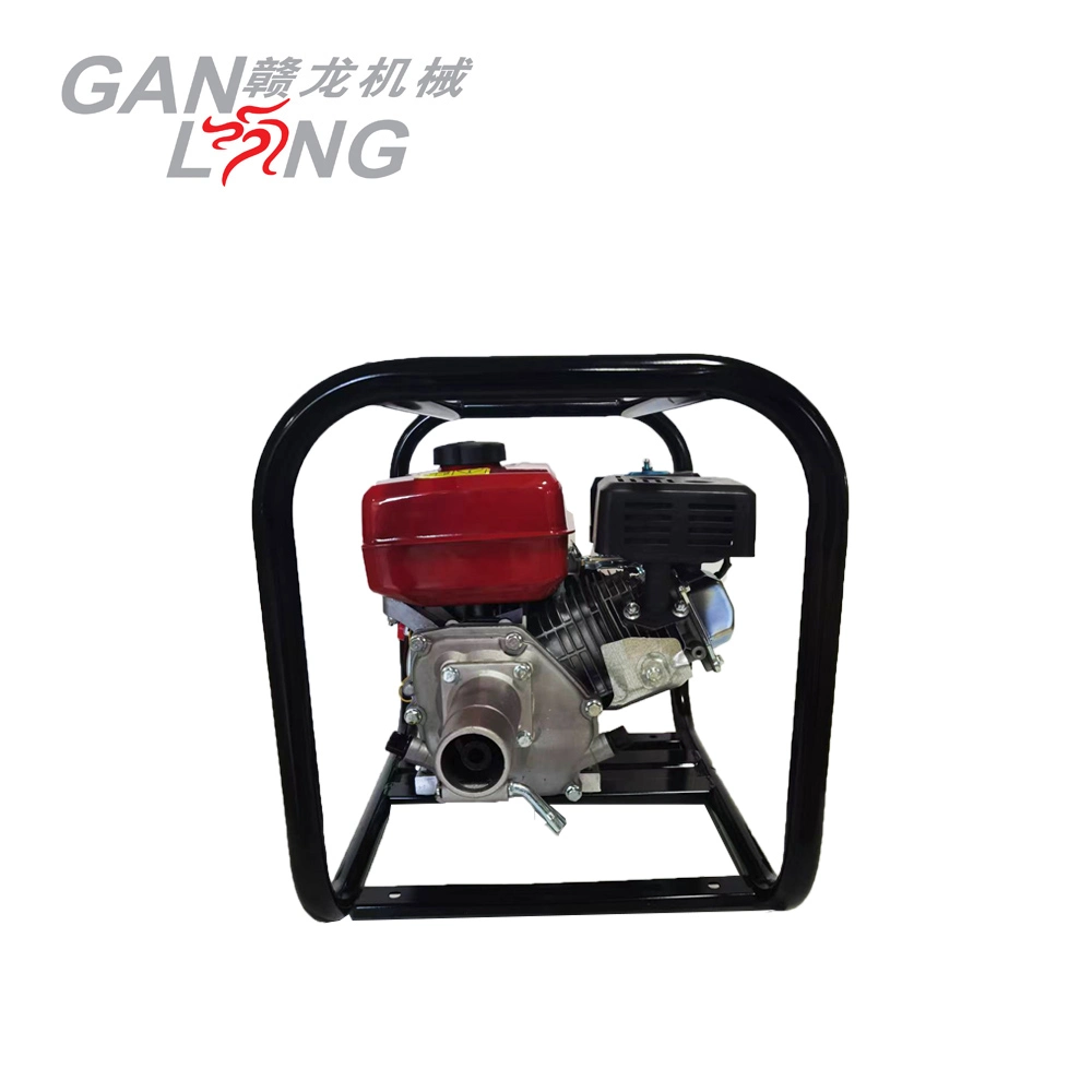 Construction Machine Gasoline Engine Concrete Vibrator
