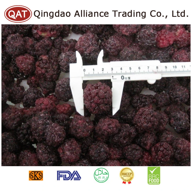 OEM Service Bulk IQF Frutas congeladas BlackBerry no OGM para Exportando