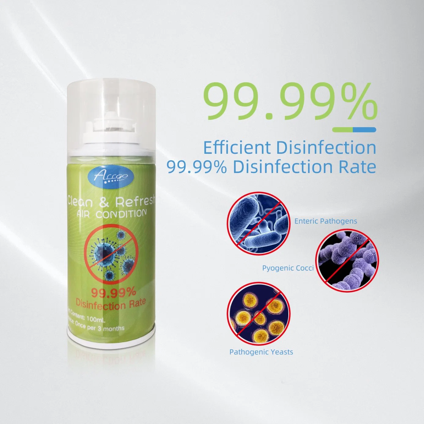 99.99% Aerosol Deodorant Disinfectant Sprayer with Reach MSDS Certificate