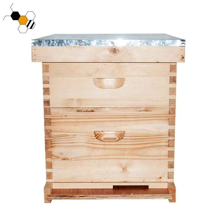 Madera Honey Casa Fabricantes Langstroth Beehive Beehive Caja Beekeeping Equipo