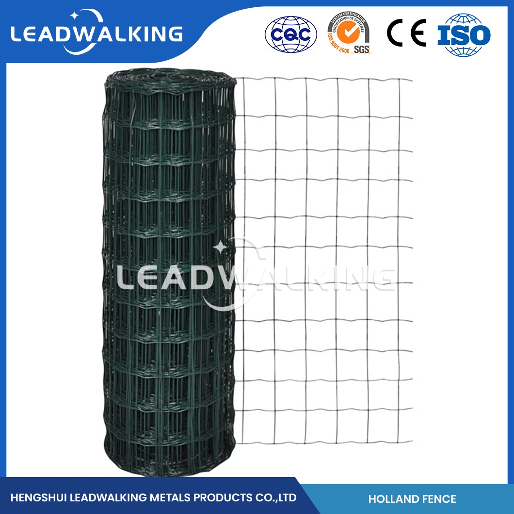 Leadwalking Euro Zaun Welding Mesh Factory Custom 2 Zoll Edelstahl Stahl geschweißte Drahtgeflecht mit PVC-Beschichtung China 50.8X101.6mm Mesh Niederländisches Netz Fechten