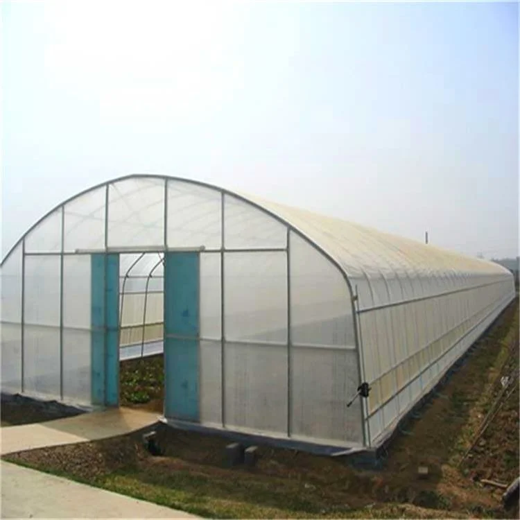 Hot Sale Single Span Poly Tunnel Film Greenhouse Sunlight Hydroponics Green Houses for Lettuce/Tomato/Cucumber/Pepper/Flowers/Fruit/Eggplant/Vegetables/Mushroom