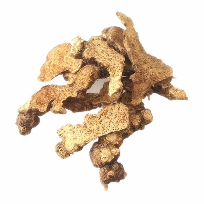 Chinese Herbs Atractylodes Rhizome for Factory Outlet Chinese Medicine