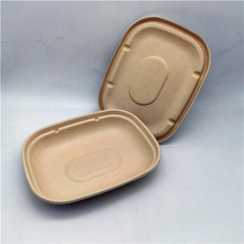 Biodegradable Practical Non-Toxic Cornstarch Tray Packing Box