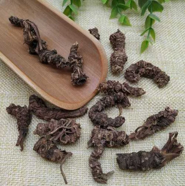 Traditional Chinese Herbal Medicine Xie Cao Gen Chinese Natural Dried Valerian Root