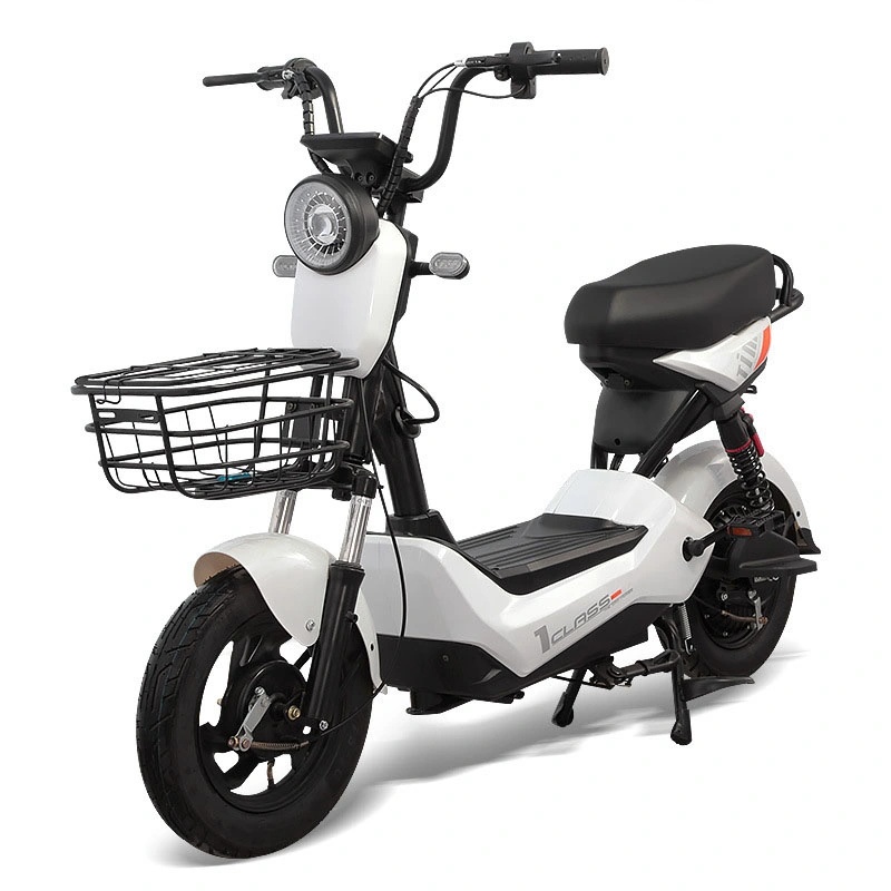 China's New Cheap Electric Bicycle Manufacturers Sell Electric Bicycles with CE