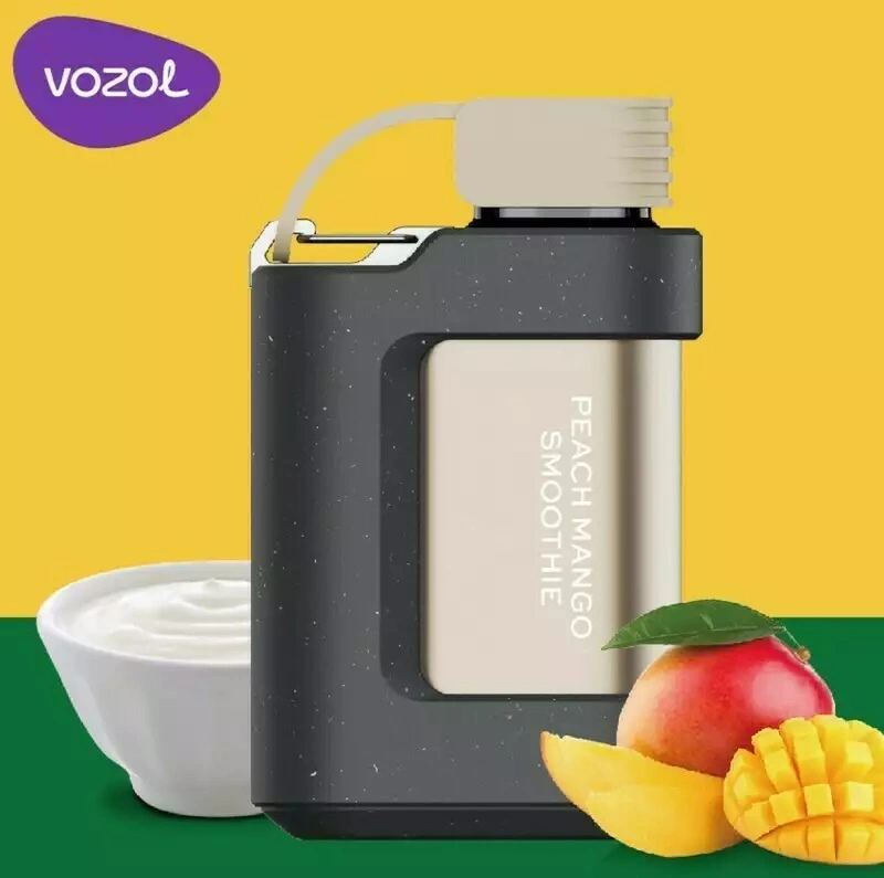 Vozol Gear 10000/7000/6000 Wholesale/Supplier Vape with Excellent Flavors Vape Smoking Vape Pod