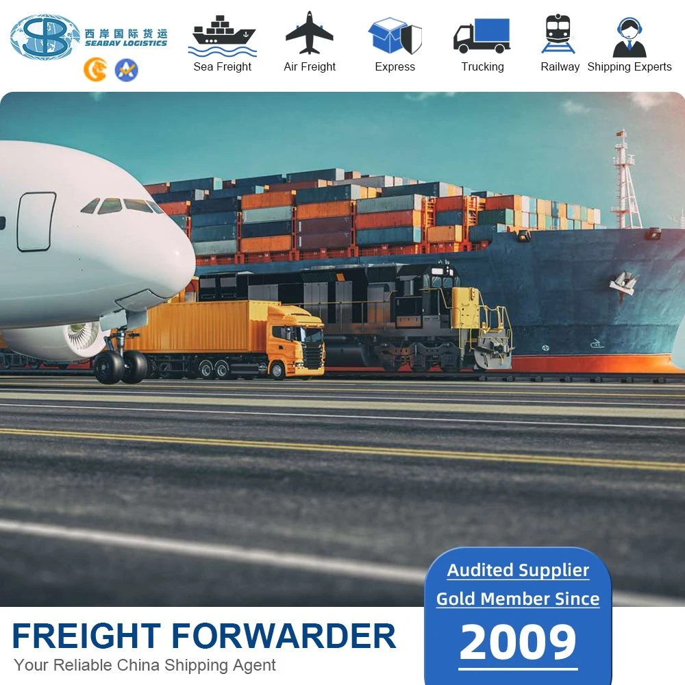 Servicio competitivo de envío de contenedores a Canadá o China Transporte marítimo a Halifax