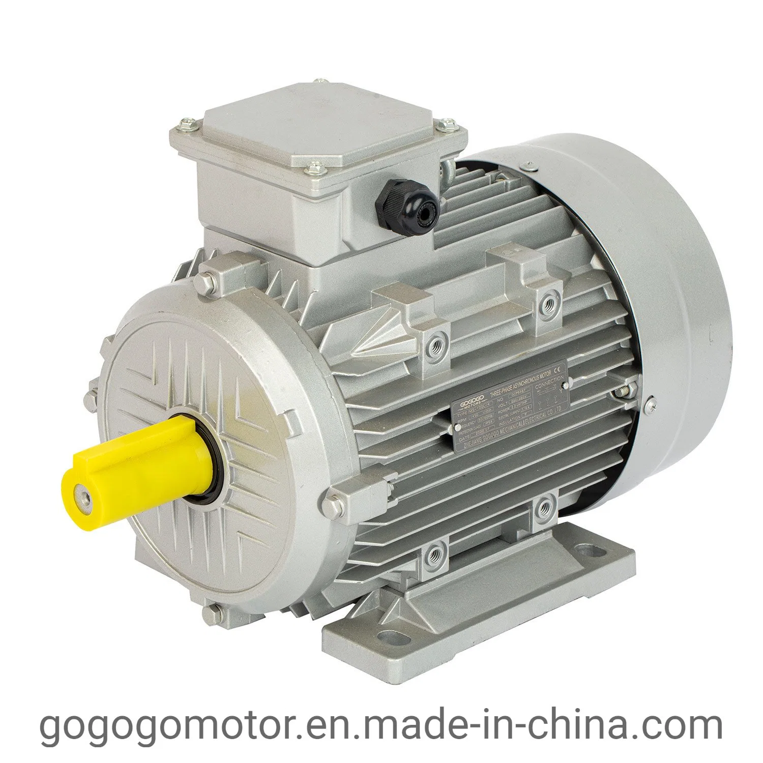 CE Approved Single Phase Induction Motor AC Motor Electric Motor (YC YL)