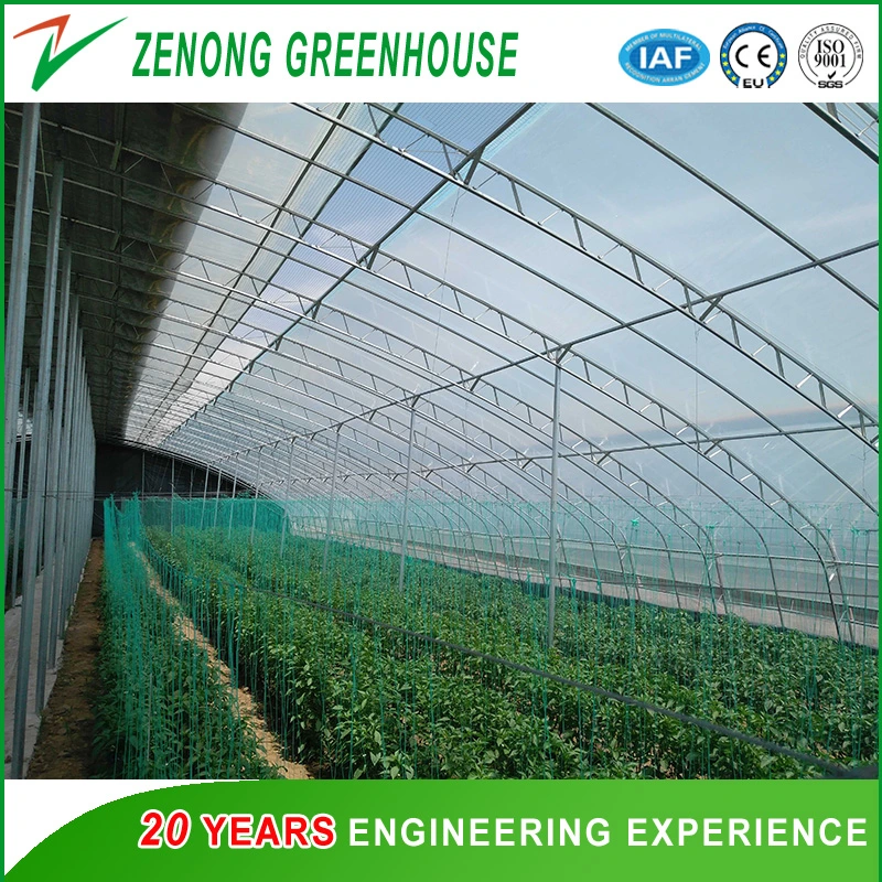 Prefabricated Low Cost Plastic Film Covered Sunlight Greenhouse for Tomato/Cucumber/Egg Plant