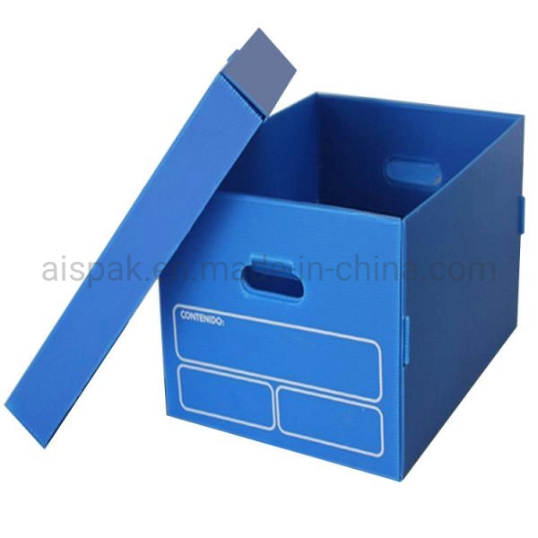 PP Cartonplast Polionda File Box Document Storage Box