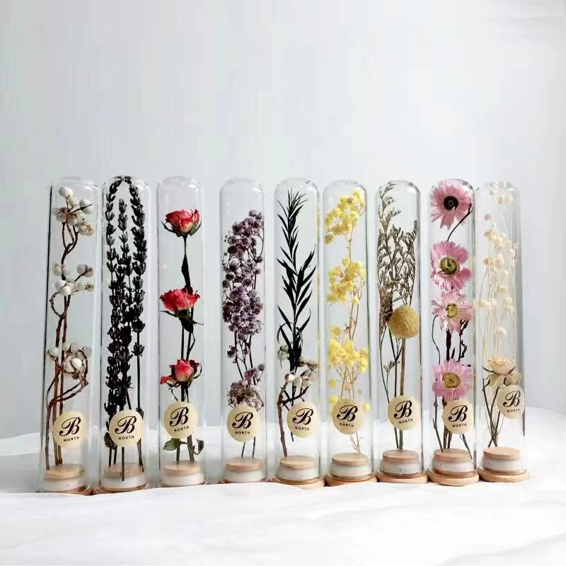 Dried Flower Sealed Teaching Experiment Glass Test Tube with Cork