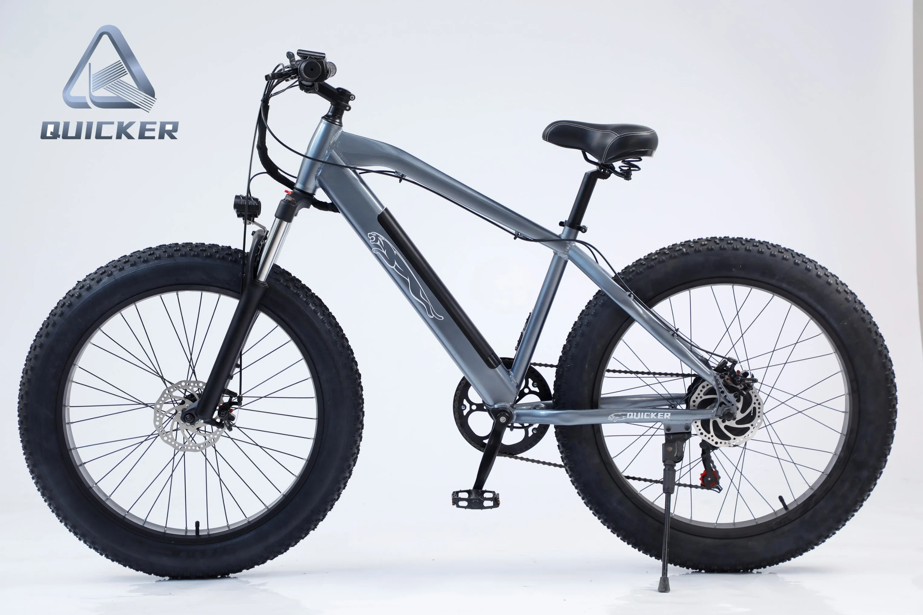 Fast Speed 48 Volts 1500 Watts Powerful Dirt Electric Bicycle E Bike for Adults