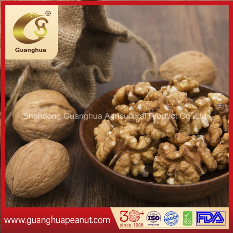 Hot Sale Full of Nutrition Walnut Kernel