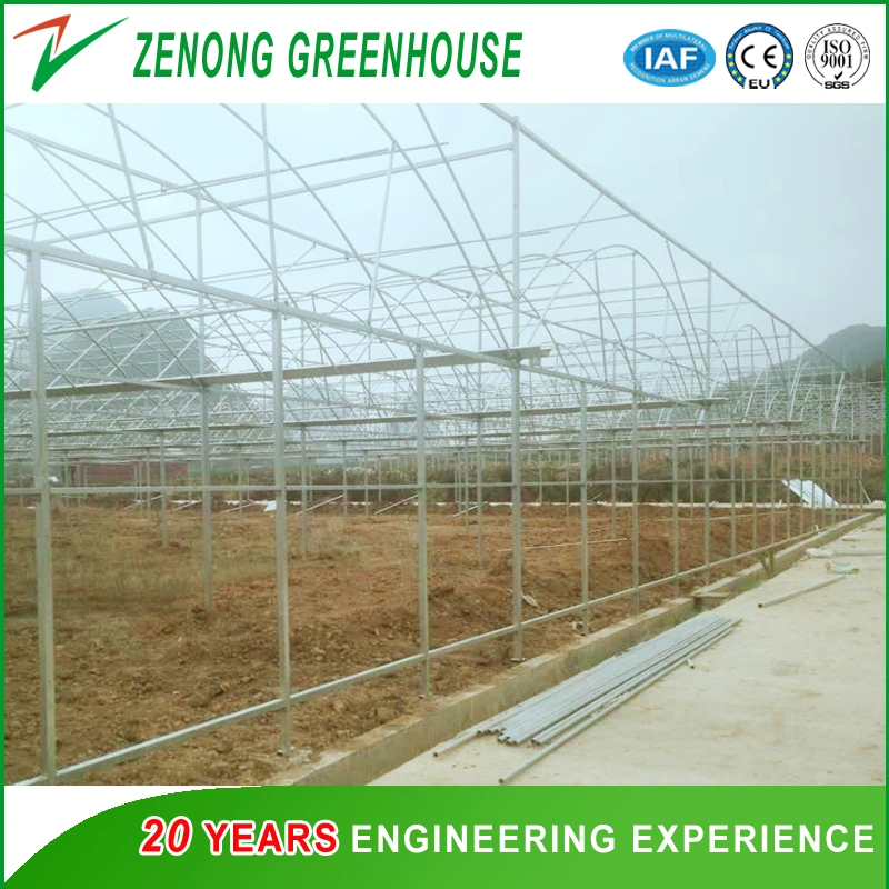 Multi-Span Intelligent Poly Tunnel Greenhouse Covered with Po Film for Cultivation/Exhibition/Experiment/Eco Park